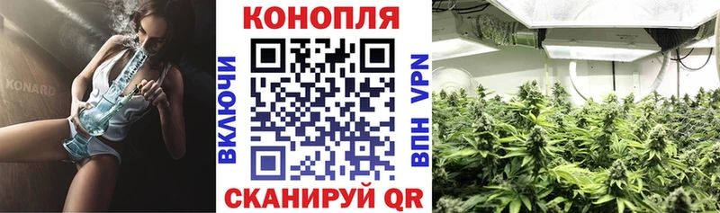 blacksprut как войти  Фрязино  Конопля THC 21% 